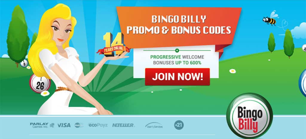  Bingo Billy Promo Code Macrocodes
